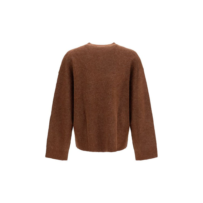 Darstellung Brauner Alpaka-Pullover (Vicugna pacos)