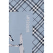 Burberry Blaues Seidenschal