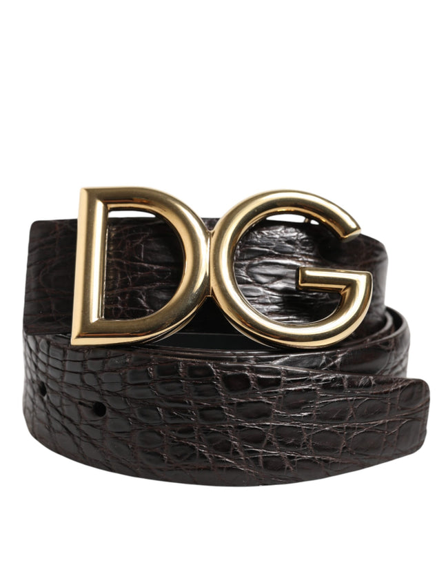 Dolce & Gabbana Schwarzer Gürtel mit DG-Logoschnalle aus exotischem Leder