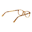 Andy Wolf Brown Acetate Glasses (Frame)